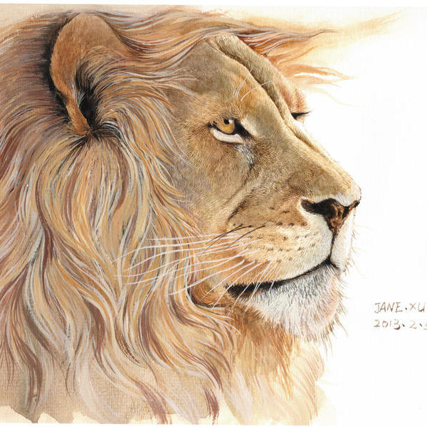 许宁-雄狮侧面头像