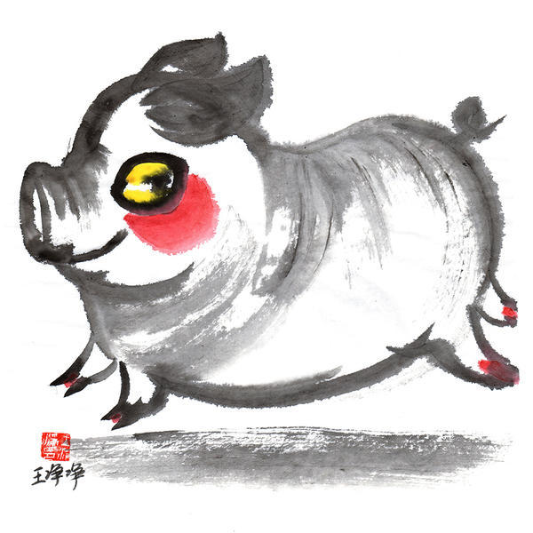 王净净-生肖猪水墨画
