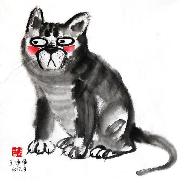 王净净-水墨猫