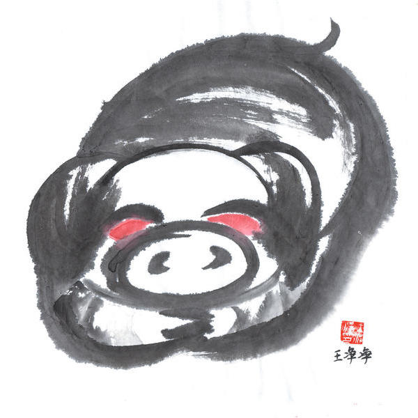 王净净-水墨猪