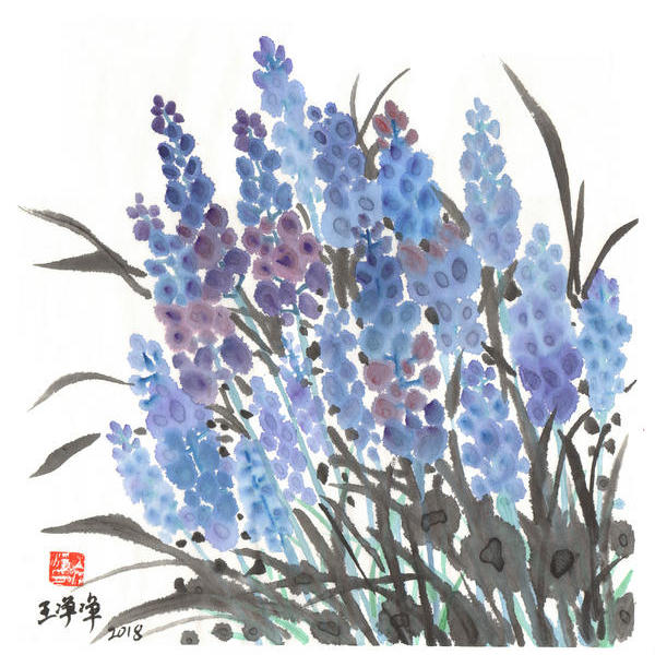 花卉系列-秋海棠