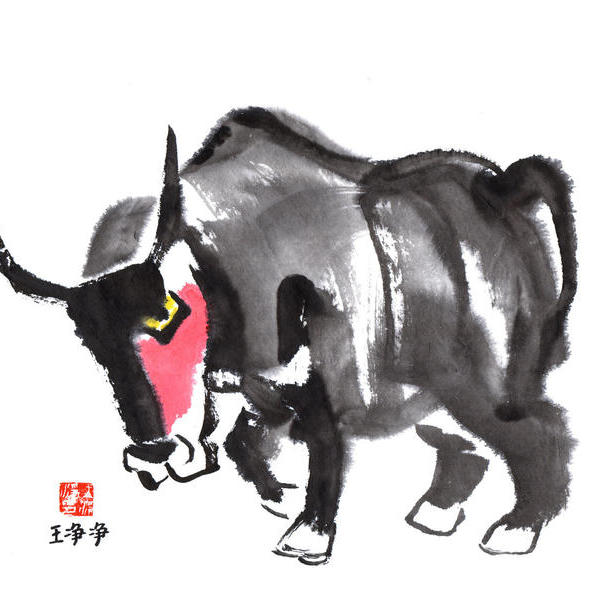 王净净-牛
