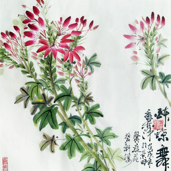 张泗洋-醉蝶花舞