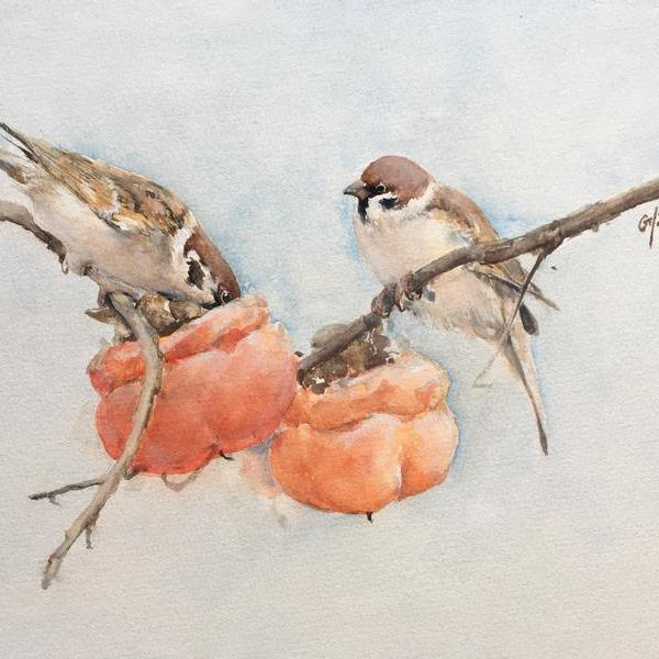 张国勇-好柿成双