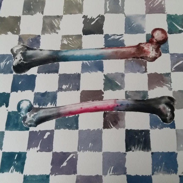 李荣强-有颜色的骨头